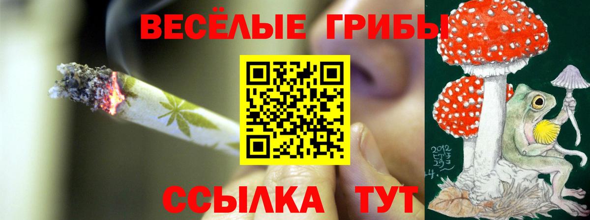 Галлюциногенные грибы GOLDEN TEACHER Гудермес